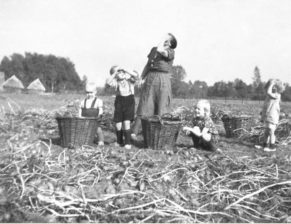 Dina Geurink met kinderen op het land kijkend naar overkomende vliegtuigen, Lichtenvoorde september 1944