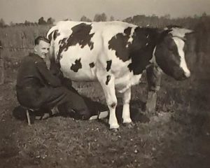 Marinus den Oudsten aan het melken, waarschijnlijk op zijn onderduikadres