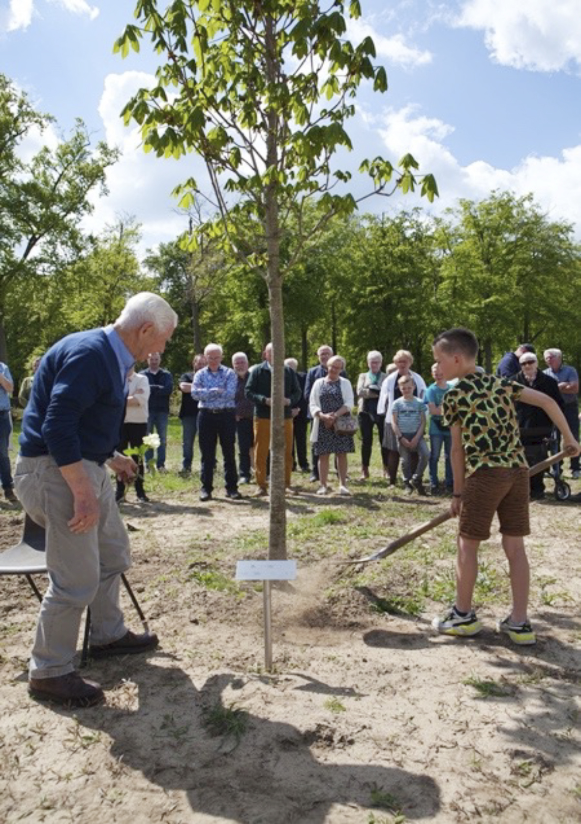 Vrijheidsbos, bomen planten